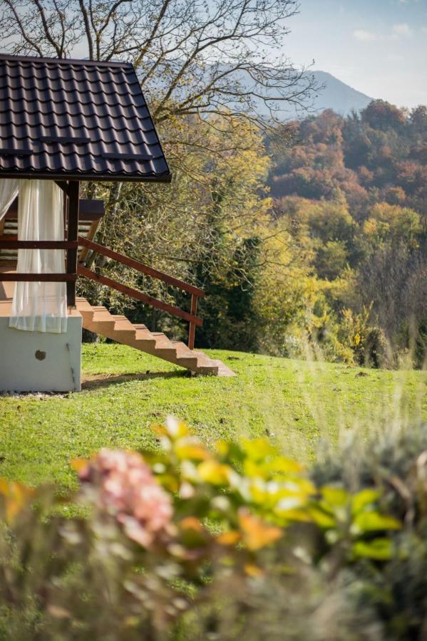 Green Hills Cottage In Zagorje With Magnificent View Ravnice-Desinicke Exterior foto