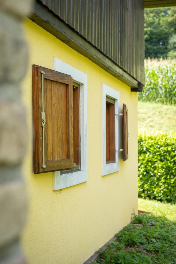 Green Hills Cottage In Zagorje With Magnificent View Ravnice-Desinicke Exterior foto